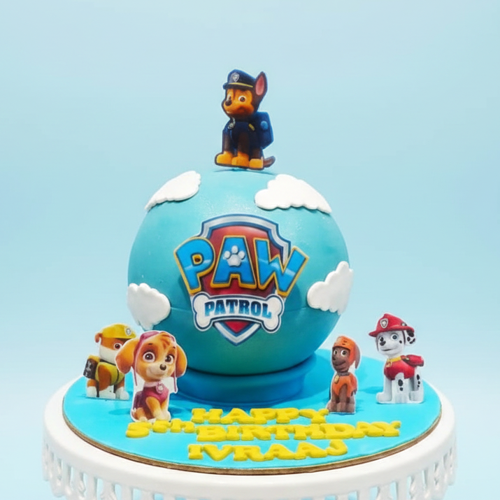 Paw Patrol Globe Cake
