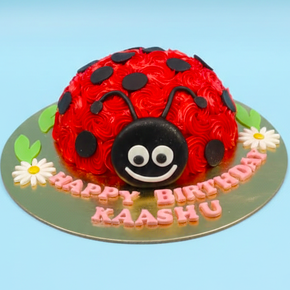 Ladybug Delight Cake