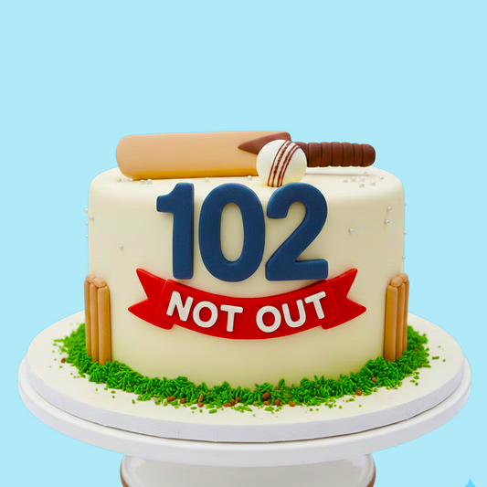 102 Not Out Cricket Cake