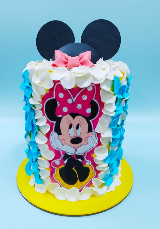 Minnie Mouse Fun Birthday Cake