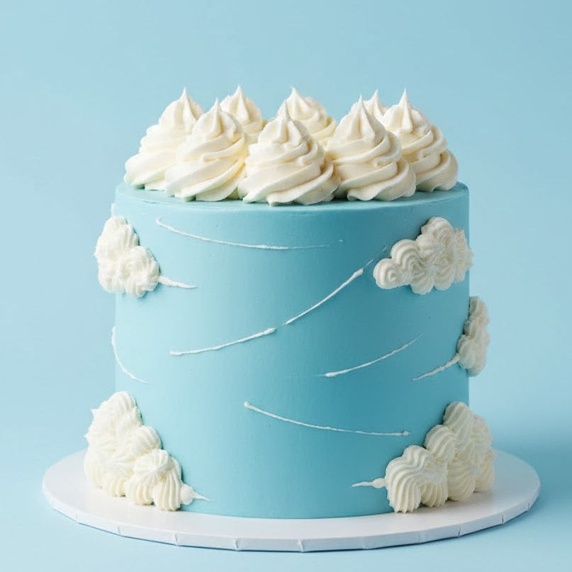 Fly High Travel Cake
