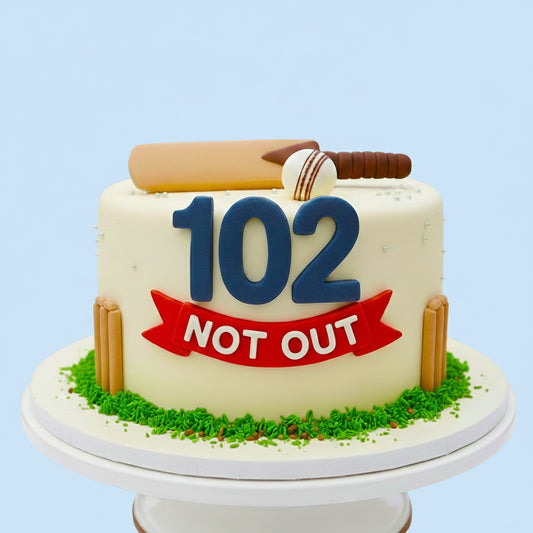 102 Not Out Cricket Cake