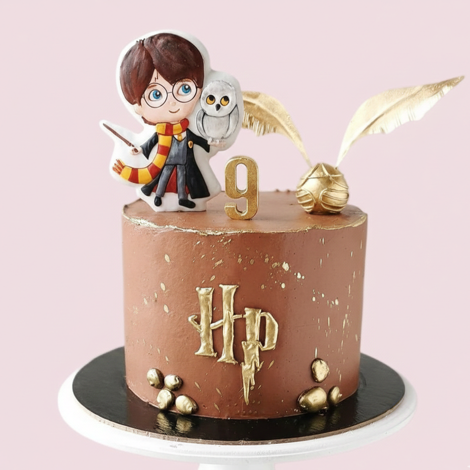 Little Wizard Birthday Charm Cake