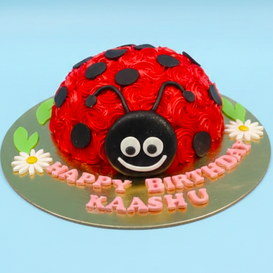 Ladybug Delight Cake