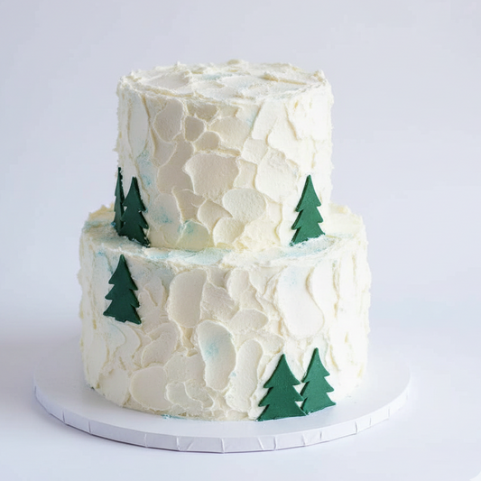 Snow Adventure Cake