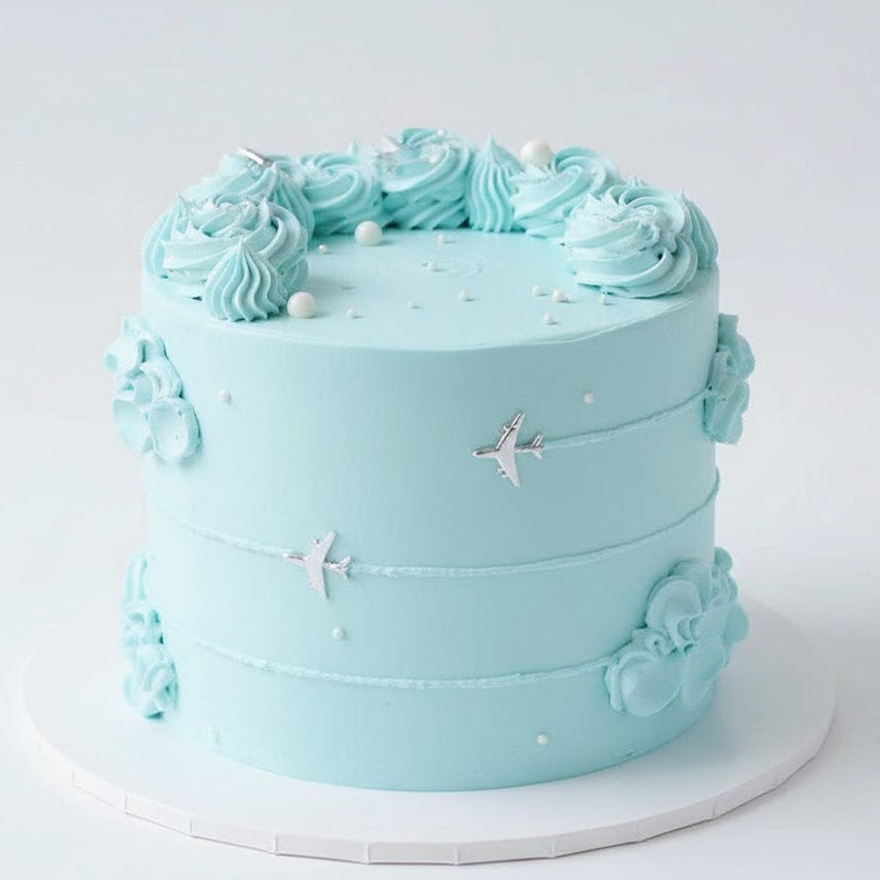 Travel Dreams Cake