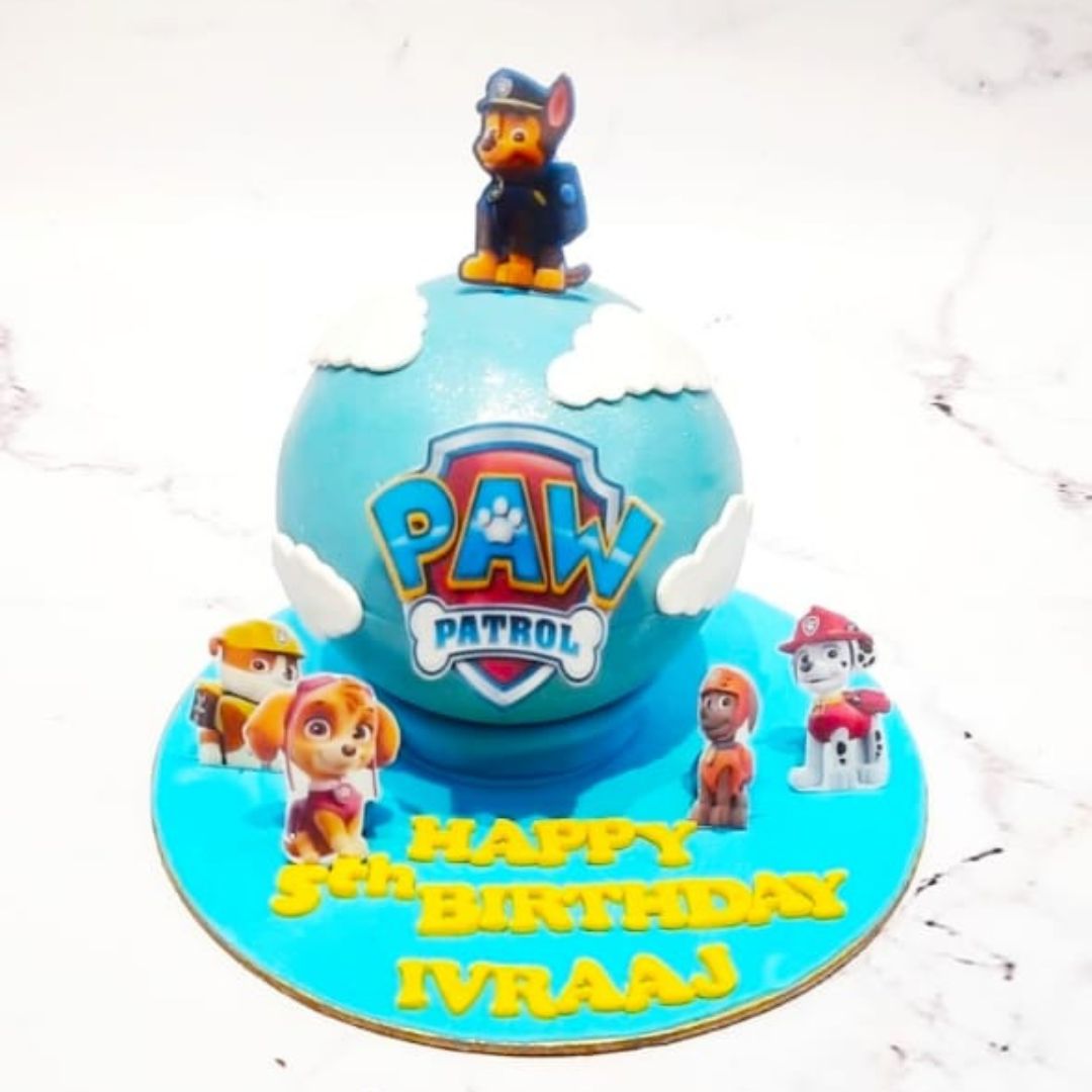 Paw Patrol Globe Cake